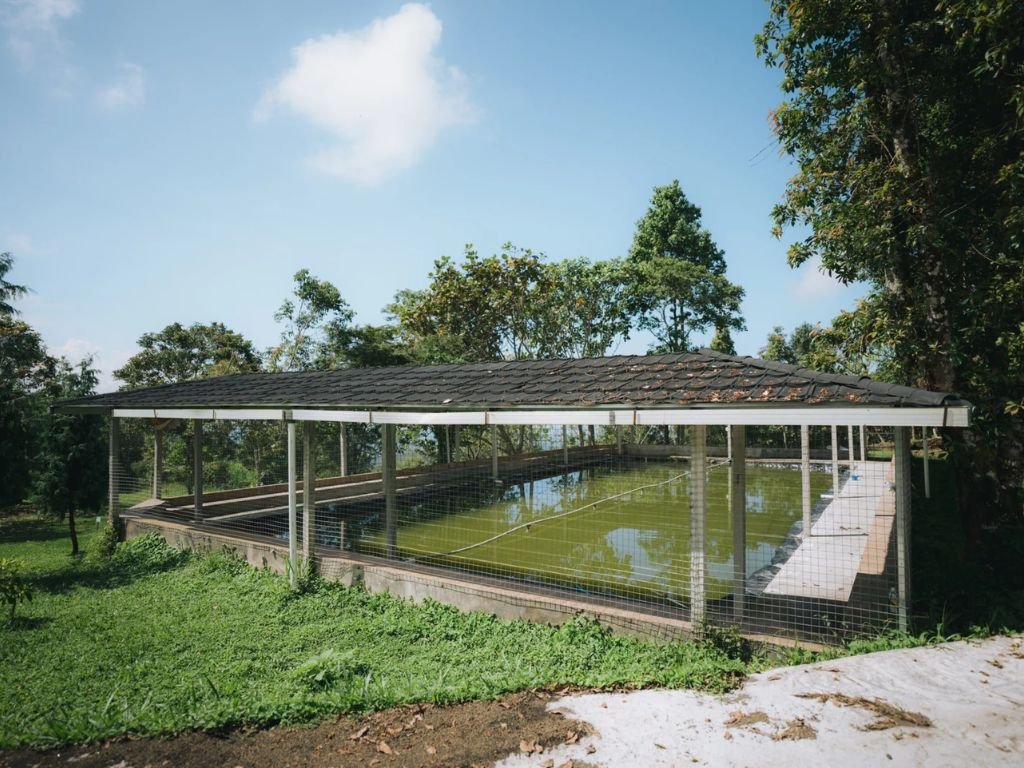 Fishing Pond